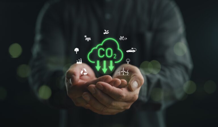 Welcome to AVF – Q&A with Carbon Less Future